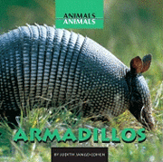 bokomslag Armadillos