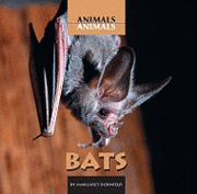 Margaret Dornfeld - Bats, Inbunden