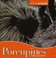 bokomslag Porcupines