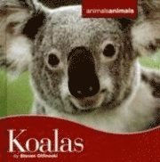 Steven Otfinoski - Koalas, Inbunden. Tillgänglighet: Tillfälligt slut