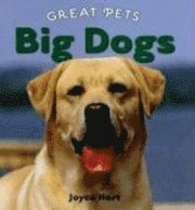 Big Dogs 1