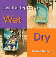 Sharon Gordon - Wet, Dry, Häftad