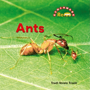 Trudi Trueit - Ants, Inbunden