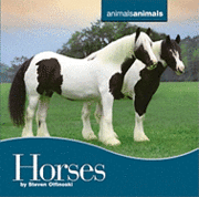 Steven Oftinoski - Horses, Inbunden. Tillgänglighet: Tillfälligt slut