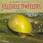 bokomslag Secret Lives of Seashell Dwellers