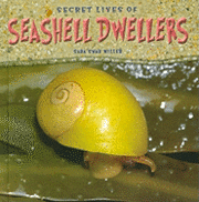 Susan Miller - Secret Lives of Seashell Dwellers, Inbunden