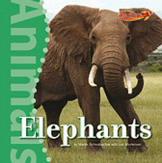 Martin Schwabacher, Lori Mortensen - Elephants, Inbunden