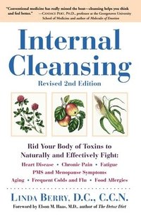 bokomslag Internal Cleansing