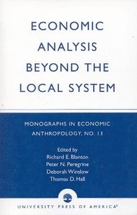 bokomslag Economic Analysis Beyond the Local System