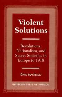 bokomslag Violent Solutions