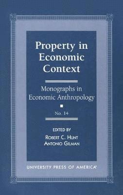 Property in Economic Context