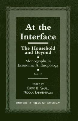 bokomslag At the Interface