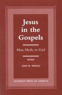 bokomslag Jesus in the Gospels
