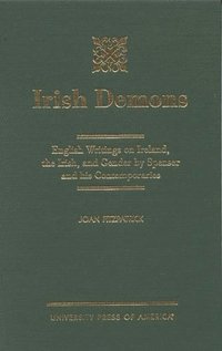 bokomslag Irish Demons