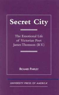 bokomslag Secret City