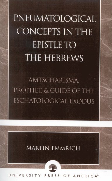 bokomslag Pneumatological Concepts in the Epistle to the Hebrews