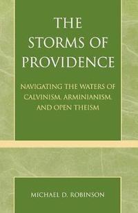 bokomslag The Storms of Providence