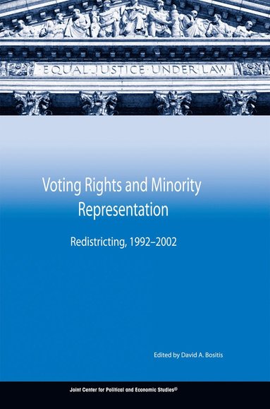 bokomslag Voting Rights and Minority Representation