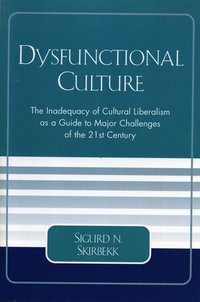 bokomslag Dysfunctional Culture