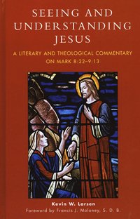 bokomslag Seeing and Understanding Jesus