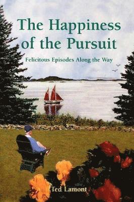 bokomslag Happiness of the Pursuit