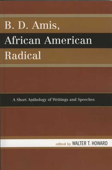 bokomslag B.D. Amis, African American Radical