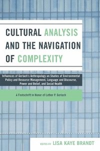 bokomslag Cultural Analysis and the Navigation of Complexity