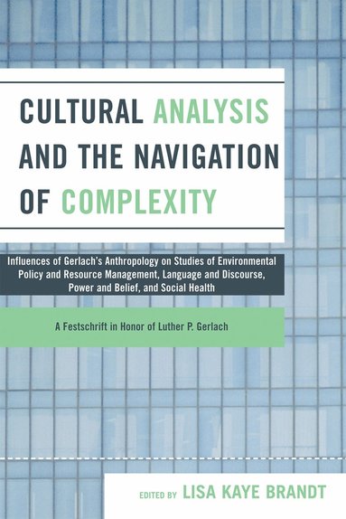 bokomslag Cultural Analysis and the Navigation of Complexity