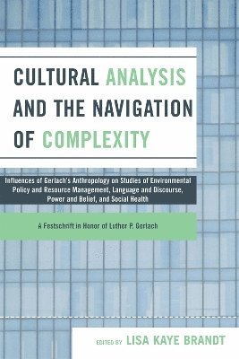 Cultural Analysis and the Navigation of Complexity 1