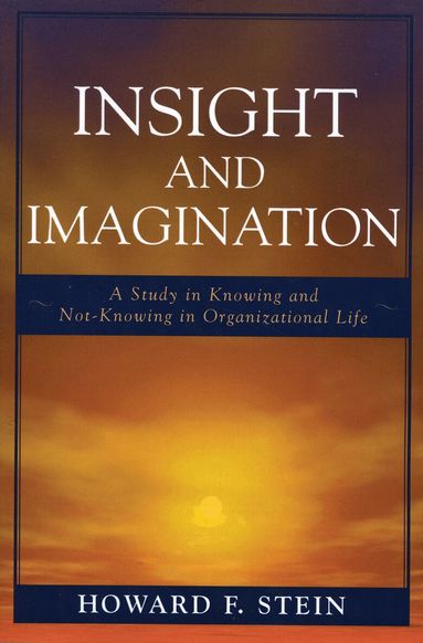Howard F. Stein - Insight and Imagination, Häftad