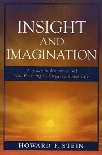 bokomslag Insight and Imagination