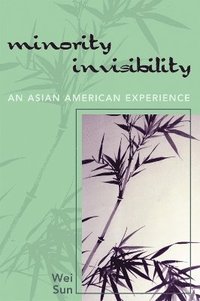 bokomslag Minority Invisibility