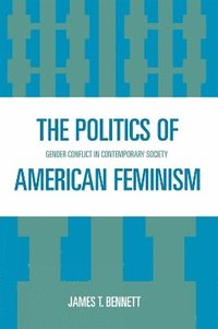 bokomslag The Politics of American Feminism
