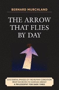 bokomslag The Arrow that Flies by Day
