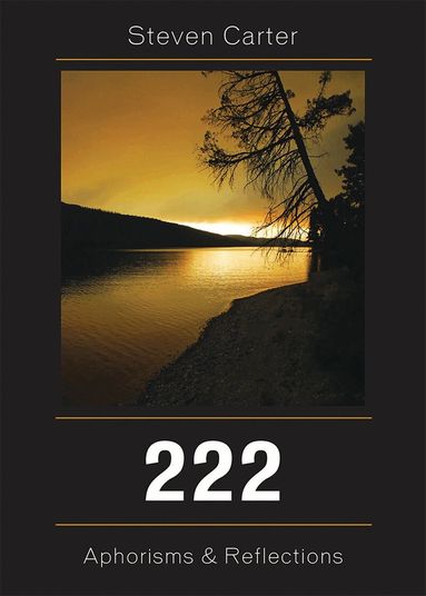 Steven Carter - 222, Häftad