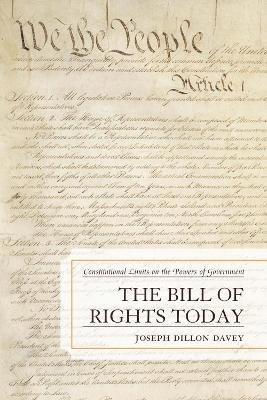 bokomslag The Bill of Rights Today