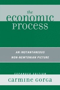 bokomslag The Economic Process