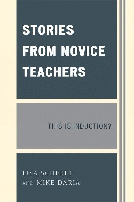 Stories from Novice Teachers 1