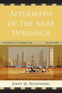 bokomslag Aftermath of the Arab Uprisings