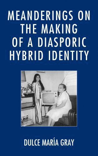 bokomslag Meanderings on the Making of a Diasporic Hybrid Identity