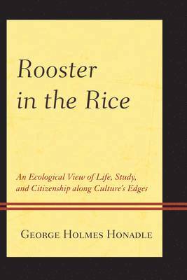 Rooster in the Rice 1