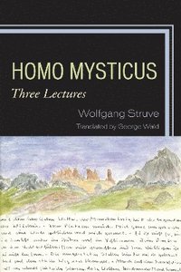 bokomslag Homo Mysticus