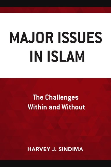 bokomslag Major Issues in Islam