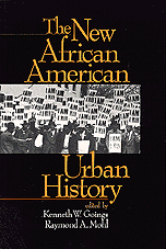 bokomslag The New African American Urban History