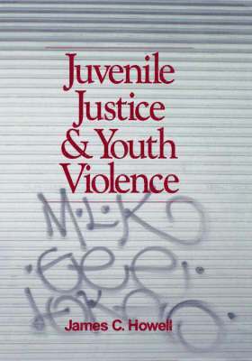 bokomslag Juvenile Justice and Youth Violence