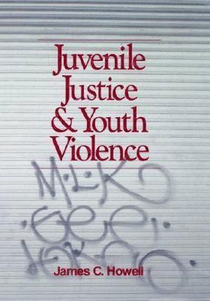 bokomslag Juvenile Justice and Youth Violence