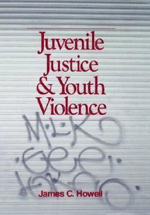 James C. Howell - Juvenile Justice and Youth Violence, Inbunden