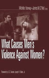bokomslag What Causes Men's Violence Against Women?