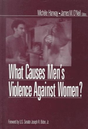 bokomslag What Causes Men's Violence Against Women?