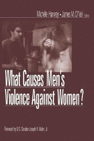 bokomslag What Causes Men's Violence Against Women?